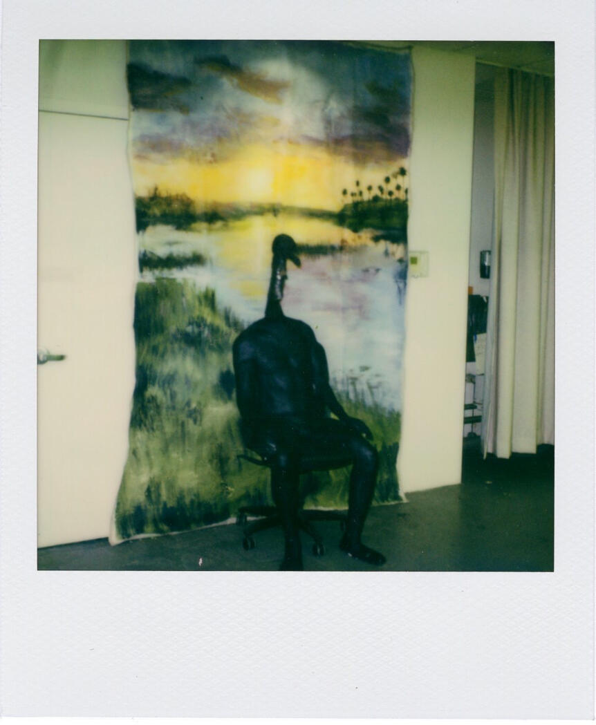 Poloroid